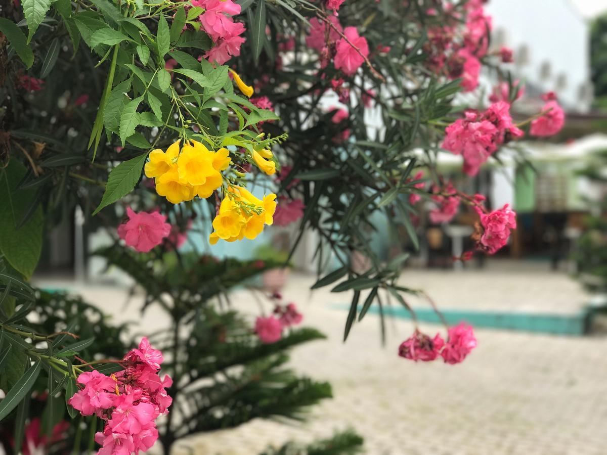 Scenarium Hotel Jaboatao dos Guararapes Ngoại thất bức ảnh